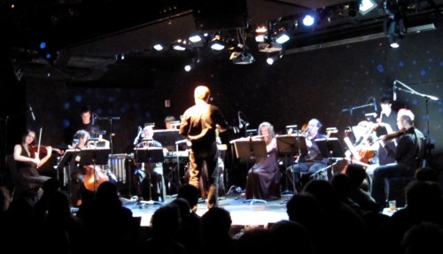 Steve Signal performing