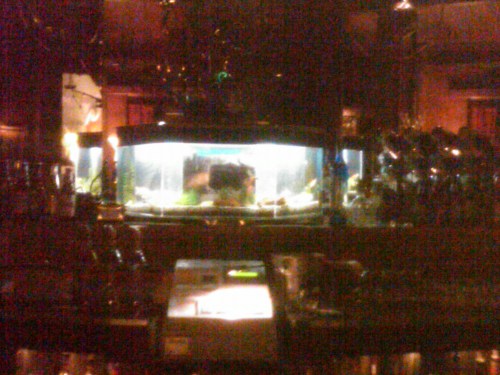 The resident fishtank at Bimbo's is behind the cash register in the cocktail lounge, providing a point of reference to show how small the tank is. (© 2011, Steven P. Marsh)