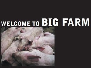 projects_bigfarm