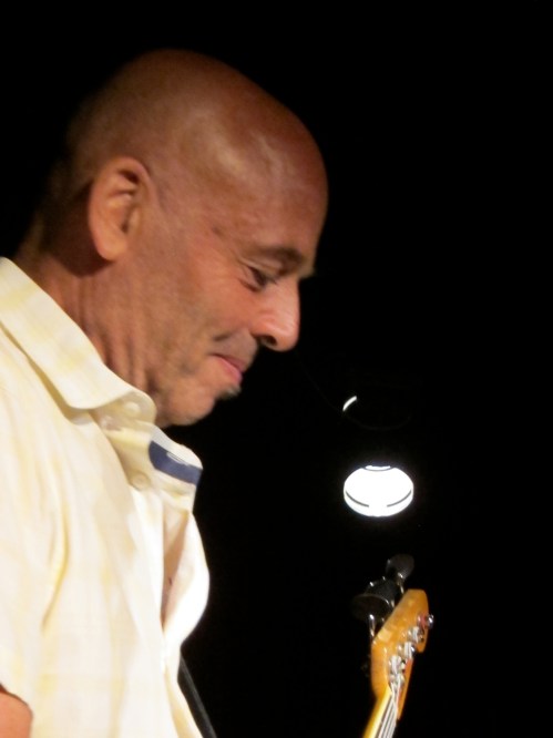 Tony Maimone with the Jon Langford Threesome. (Photo © 2013, Steven P. Marsh)