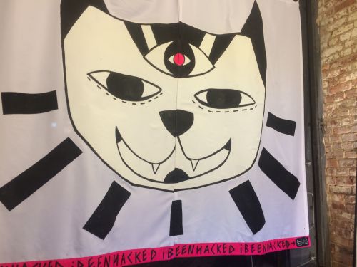 Cats are a prominent part of Tim Fite's work. (Photo © 2014 Steven P. Marsh/willyoumissme.com)