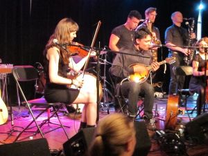 Mother Falcon (Nick Gregg on mandolin) onstage at Brooklyn's Littlefield on Tuesday, June 24, 2014. (Photos © 2014, Steven P, Marsh/willyoumissme.com)