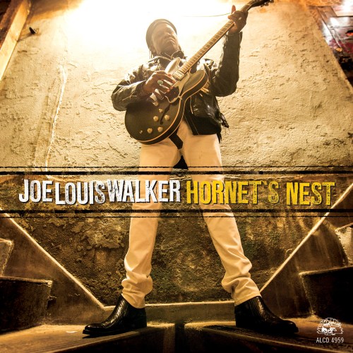 "Hornet's Nest," the latest album from blues legend Joe Louis Walker  packs a sting. 