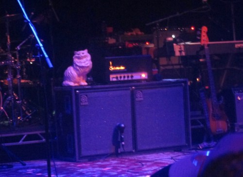 The "Star Wars" cat — or, rather, a reasonable facsimile — awaits the band's arrival onstage Tuesday night at the Capitol Theatre in Port Chester, New York. (© 2016, Steven P. Marsh/willyoumissme.com)
