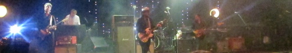 Wilco (© 2016, Steven P. Marsh/willyoumissme.com)